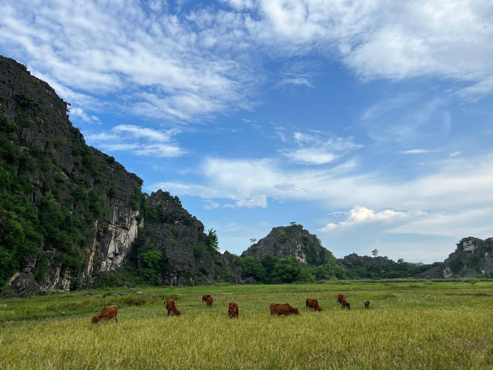 Ninh Binh Family Homestay Buitenkant foto