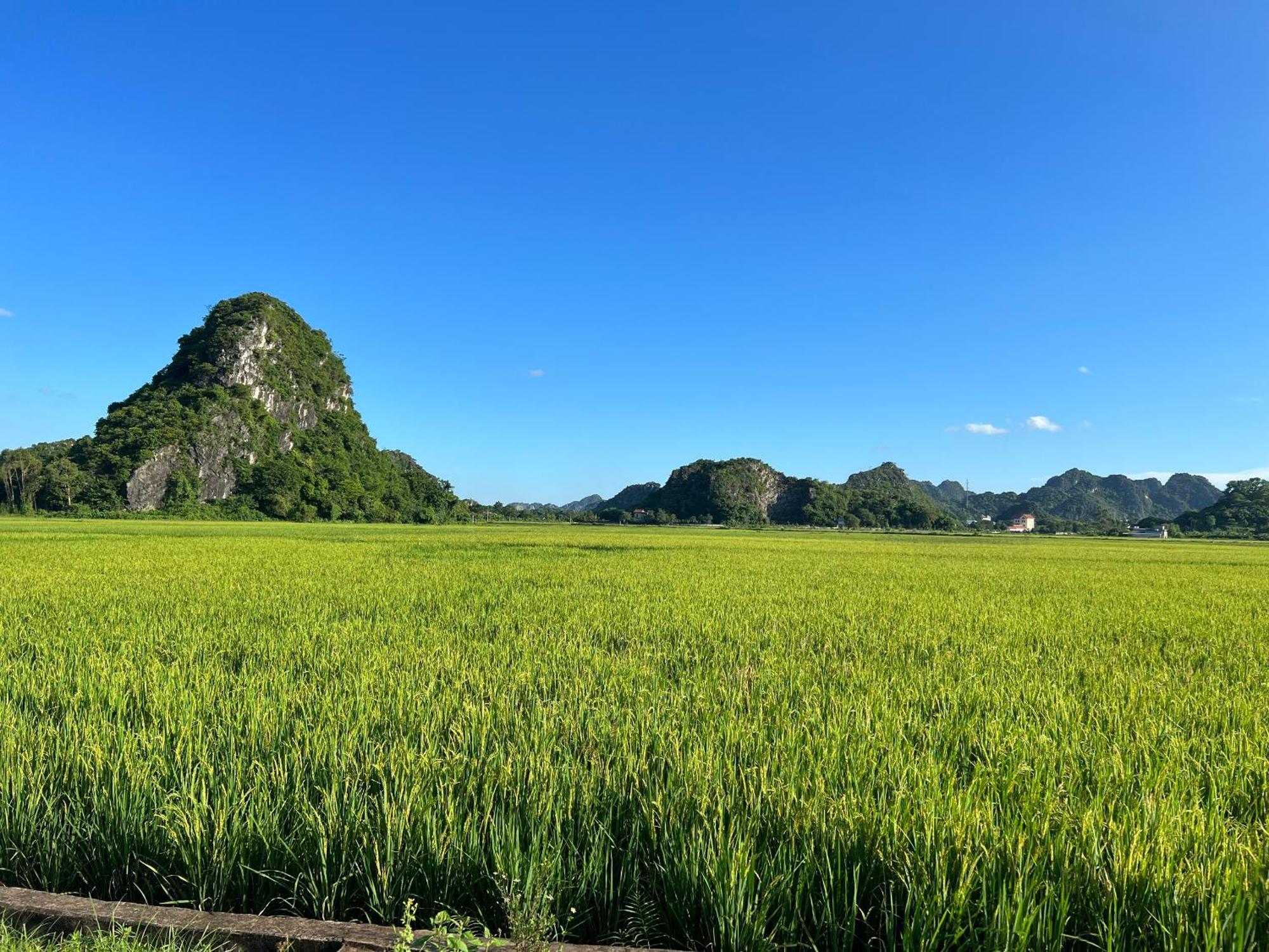 Ninh Binh Family Homestay Buitenkant foto