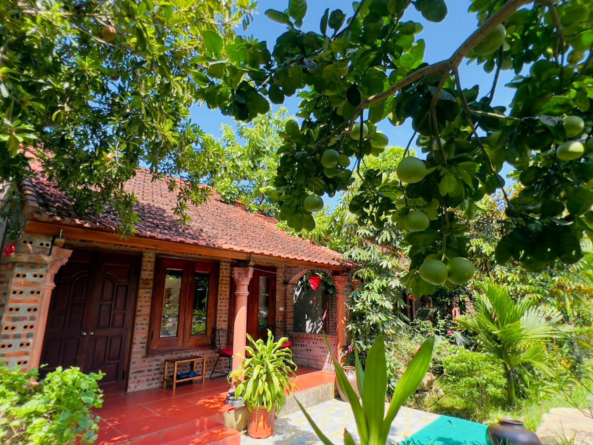 Ninh Binh Family Homestay Buitenkant foto